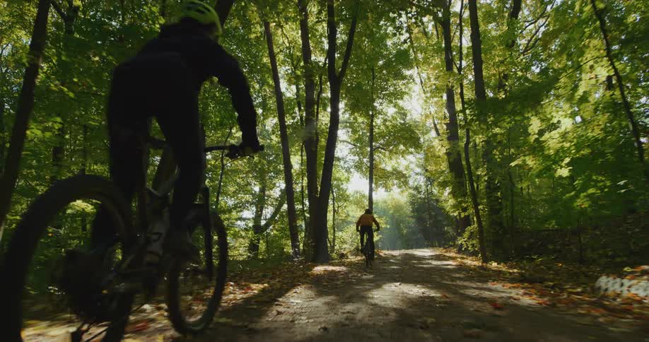 Two cyclists pedal through woods on paved road strewn with fallen leaves on a sunny day