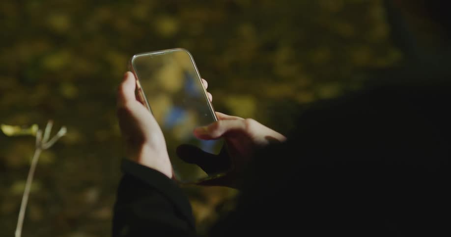 Person stands among fallen leaves in woods using smartphone with a reflective screen
