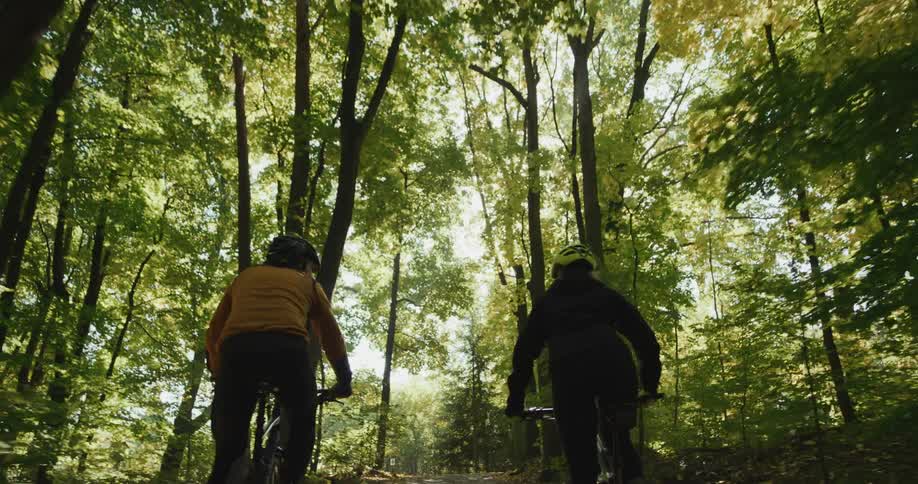The sun shines brightly through the trees as two women ride their bicycles on a path through the woods