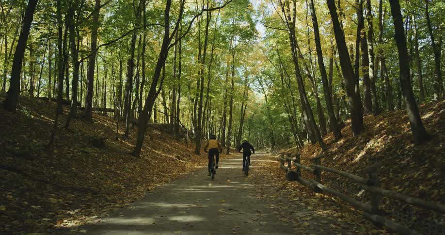 Two cyclists pedal along paved path through woods strewn with fallen leaves