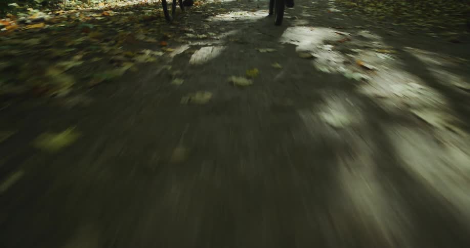 Two people bike down a path covered in fall leaves