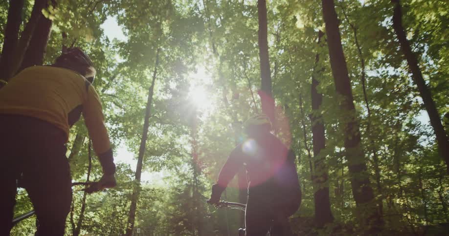 Two cyclists pedal over paved road strewn by fallen leaves as it passes through woods on sunny day