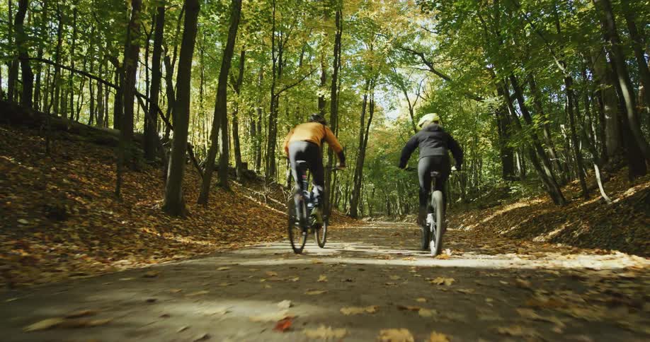 Two people ride bicycles down a trail in the woods