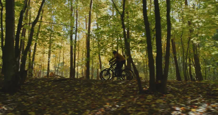 A man and woman ride bicycles along a trail amidst a forest
