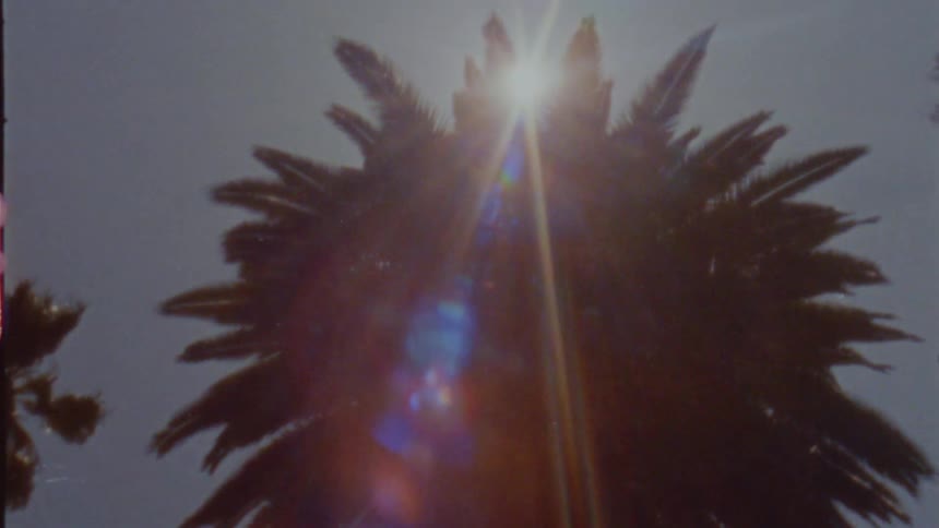 The view is of the sun light and a few palm trees outside