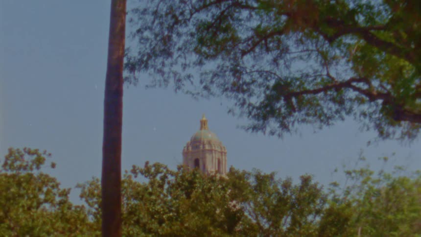 The dome of an ornate building is visible over tall trees