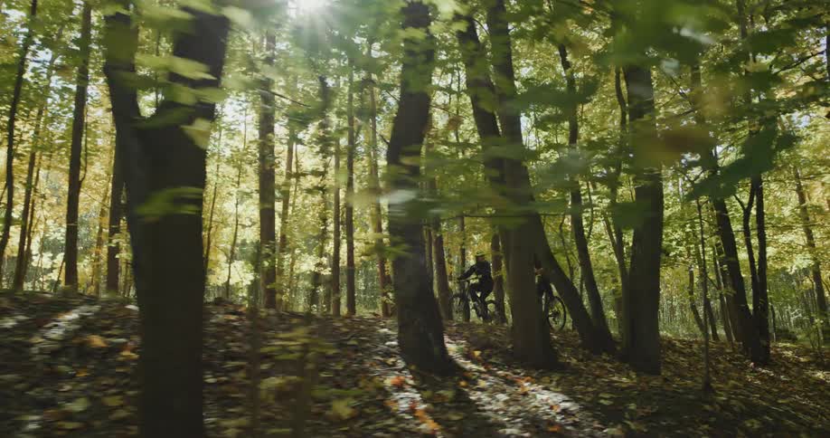 A couple of cyclist leisurely driving bicycles on a trail through the forest at morning
