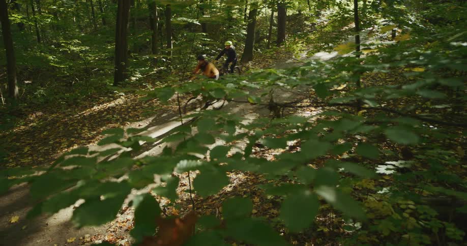 A man and woman ride bicycles through the woods