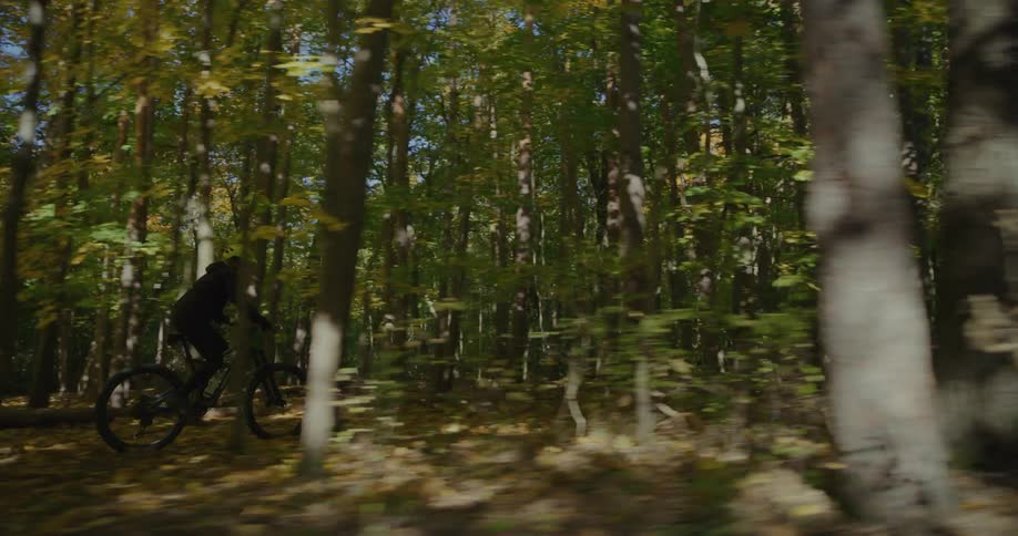 Two cyclists ride from trail through woods onto road