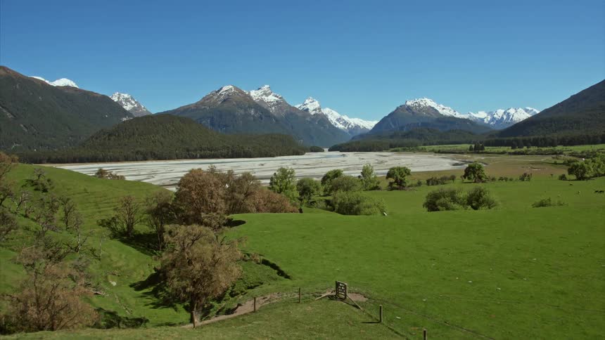 Track to reveal lone sheep in pasture bordering with snow topped mountains in the background