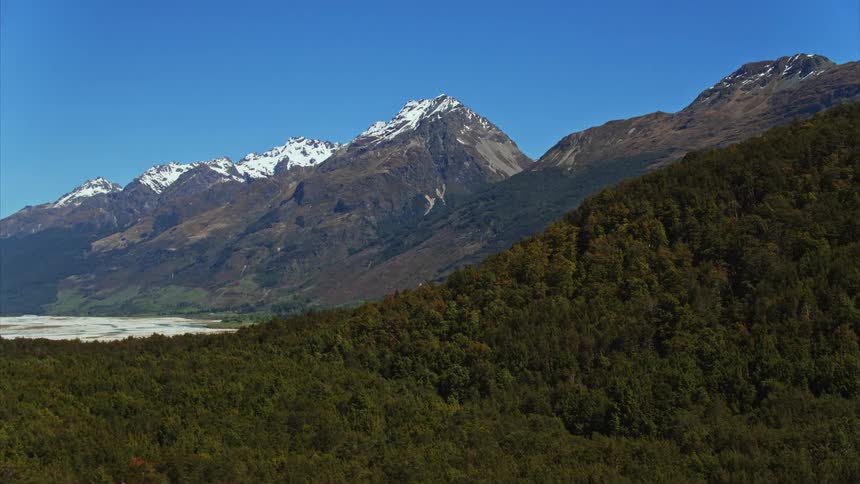 Tracking over mature trees to reveal dramatic mountains in New Zealand