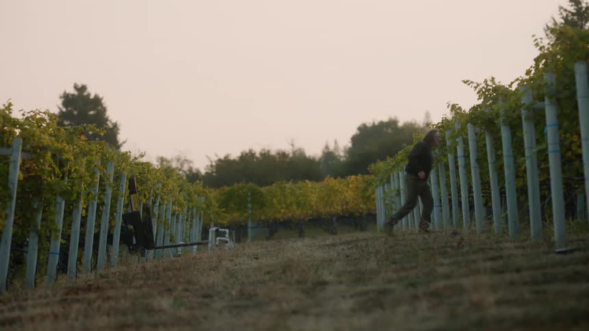A man is walking through farm land at dusk
