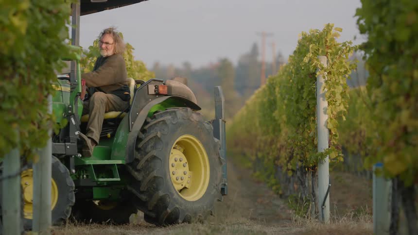 Farmer driving a tractor with a crate carefully along the crops in his farm at morning