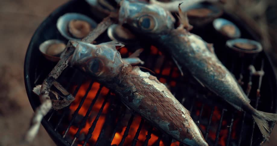 Three fish cooking on an open grill