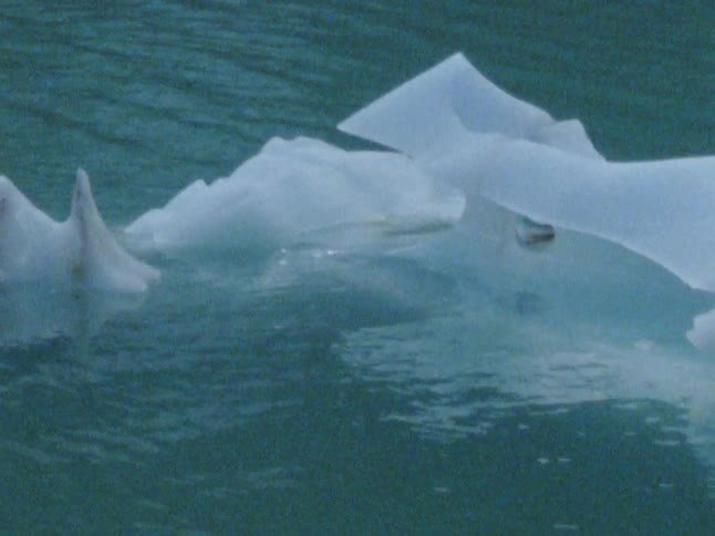 Ice is floating in a body of water at midday