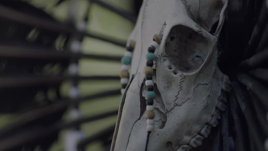 Animal's skull decorating  a wheel of some sort