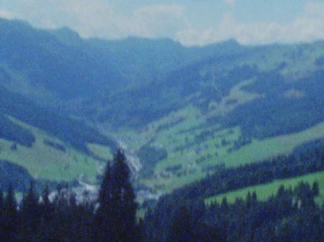 Pine trees on mountains slopes