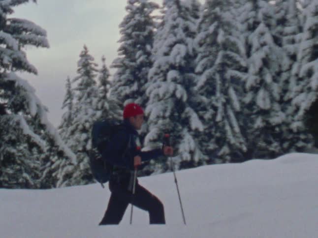 A man is walking through a snow covered forest with trekking poles under a cloudy sky