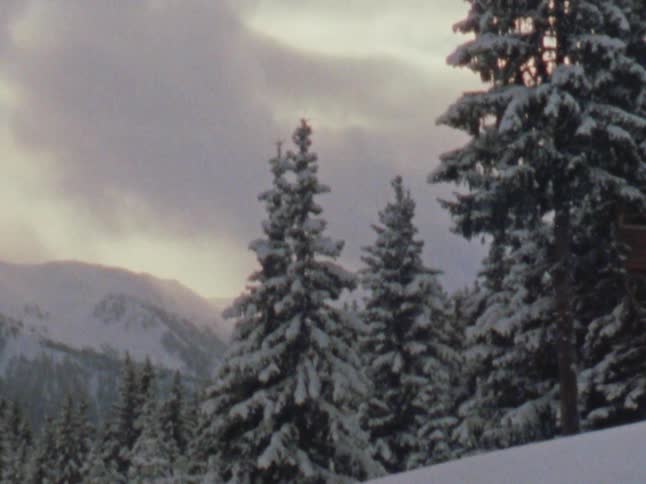 The view is of the nature outdoors in the winter time