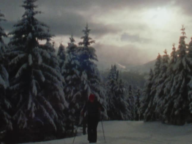 A man is walking through a snow covered forest with trekking poles under a cloudy winter sky