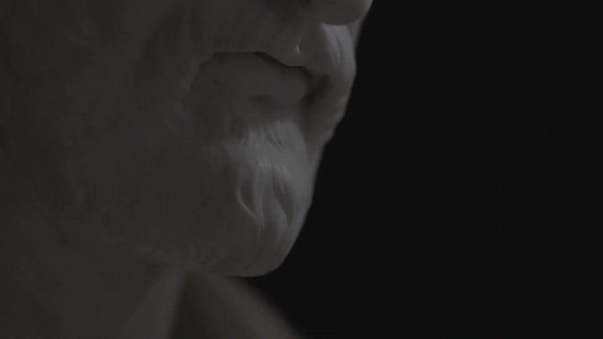 A bust of a man's head is a white statue