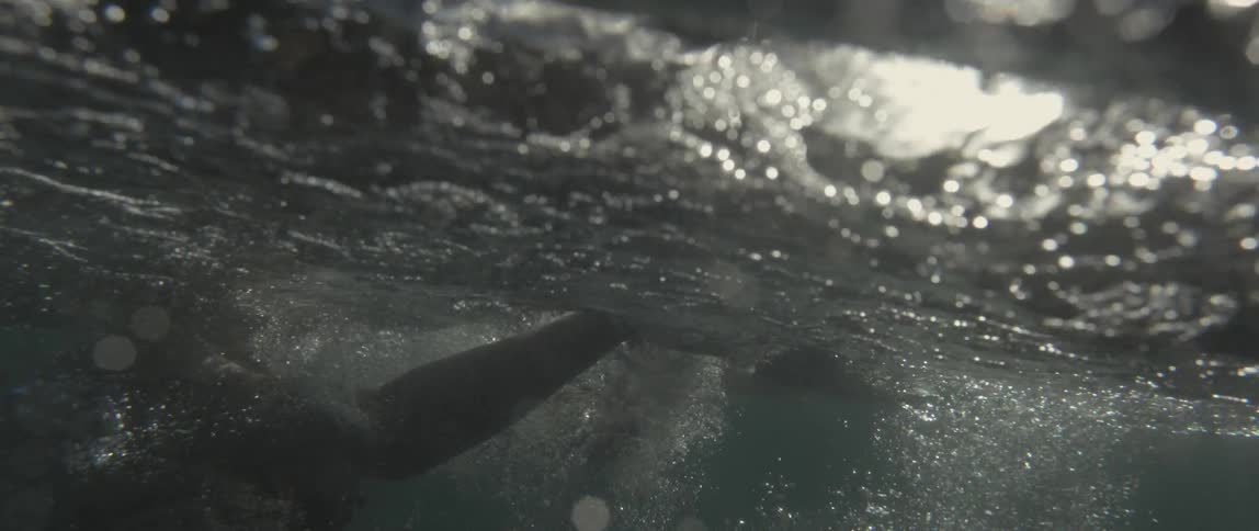 Woman swimming in the ocean as seen from just above and just below the waterline