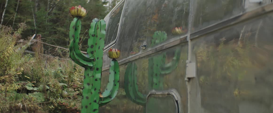 A cactus beside a van parked in front of a forest