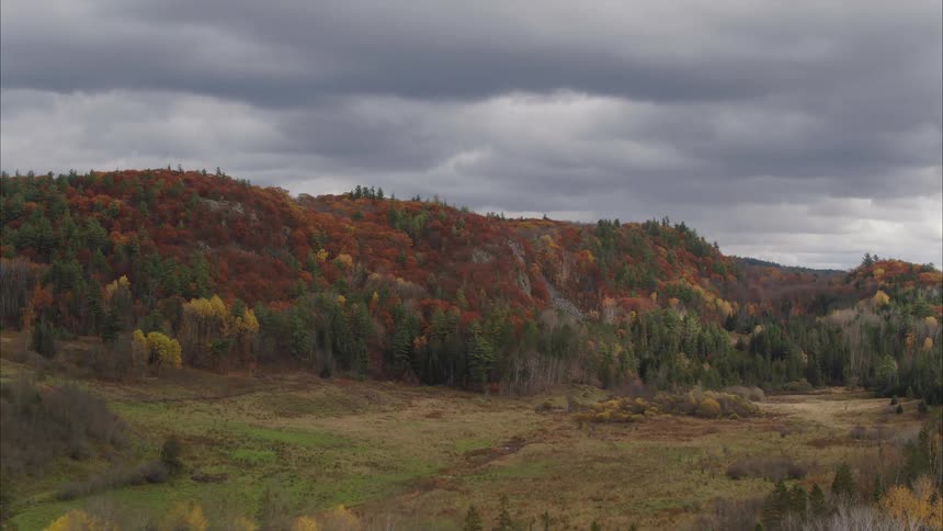A forested hilly countryside and field on a cloudy autumn day