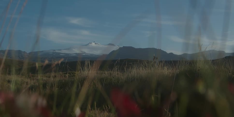 Tall grass and weeds moving in the breeze with snow covered mountains in the distance under a blue cloudy sky