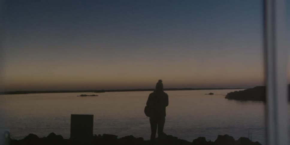A woman stands on the shore and looks out at the water in the evening
