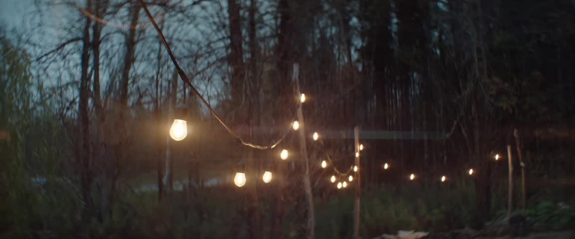 Lightbulbs are strung up in an backyard firepit