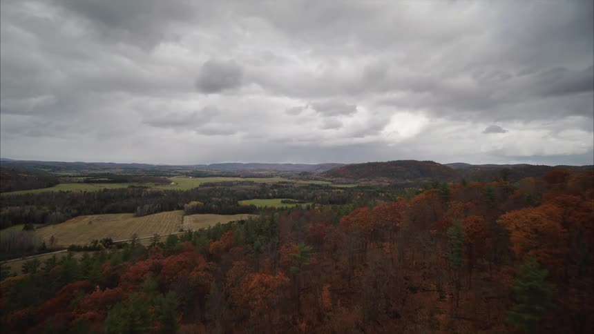 An aerial view of fall trees in a forest in front of farm fields