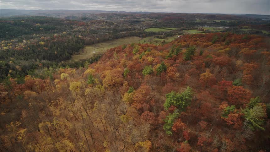 Aerial view of a forest in the countryside during fall