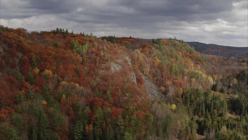 Orbiting aerial view of a forest on the slopes of a mountain during autumn