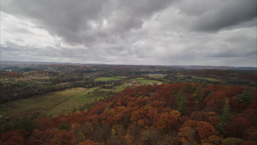 Aerial view of a vibrant orange  forest in the hilly countryside during fall
