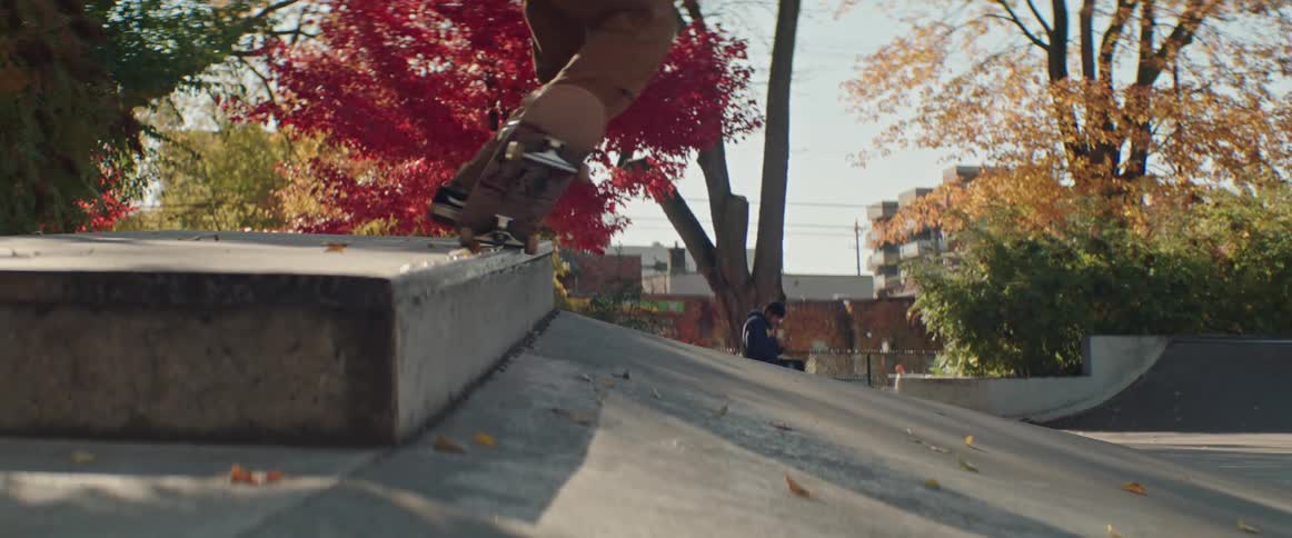 A man performs a 5-0 grind skateboard trick in a park among trees with bright fall colored leaves