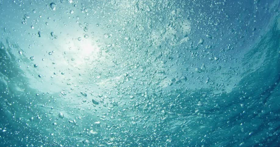 Bubbles rise to the surface
