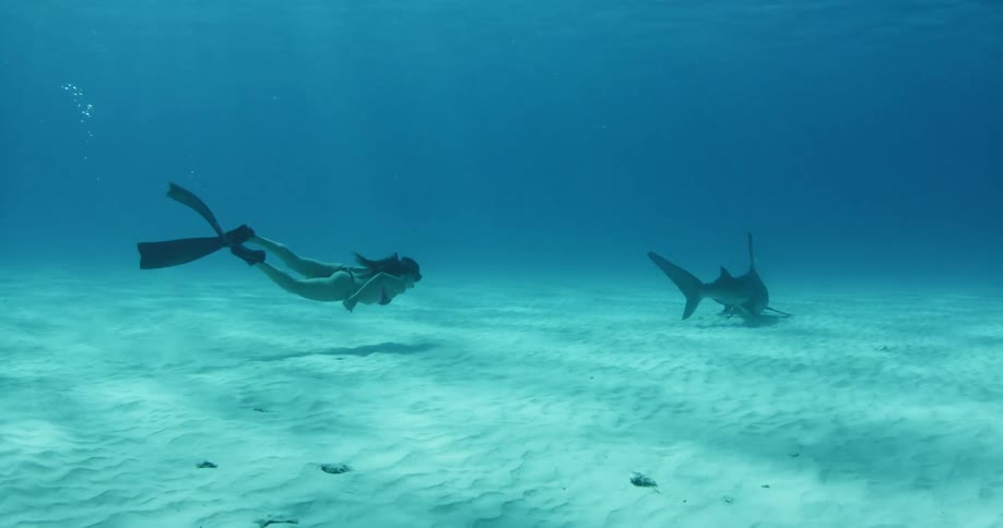A woman diving underwater follows a shark