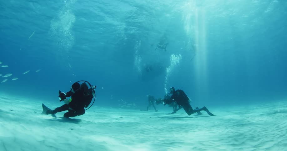 Divers filming on the ocean floor as fish swim around