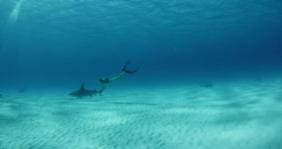 A diver swims with a shark on the ocean floor
