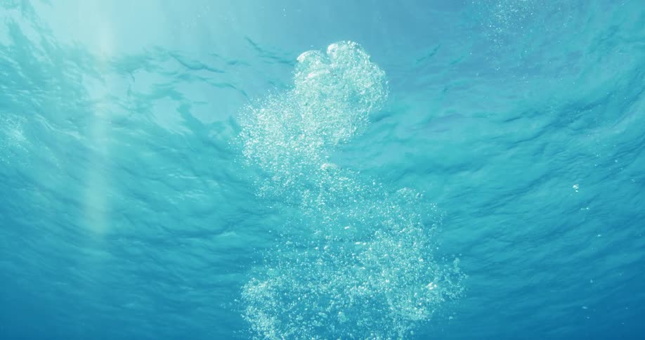 A bubble of air rapidly rises toward the ocean surface during the day