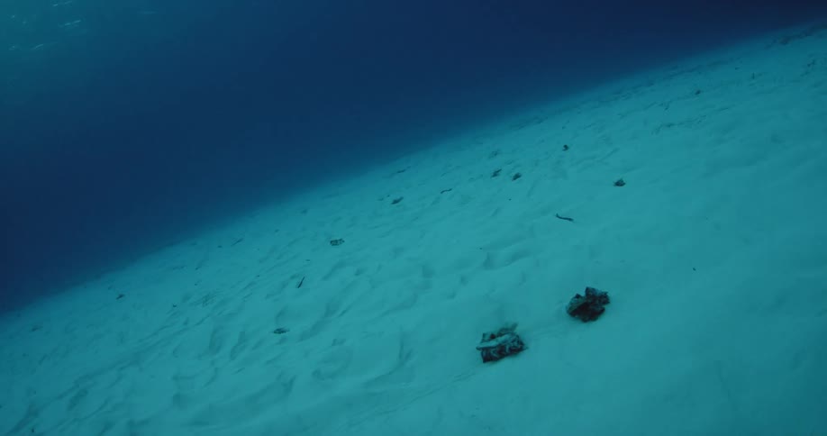 Mostly rocks and sand line the ground underwater