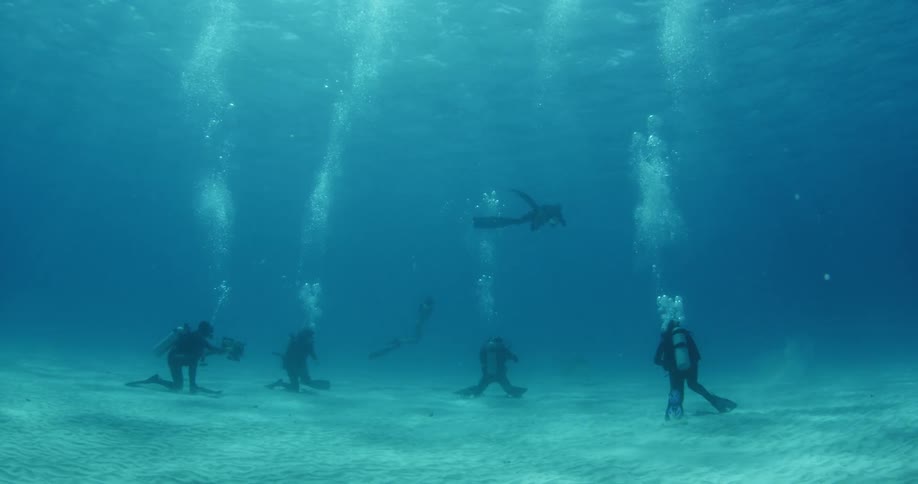 A group of scuba divers underwater