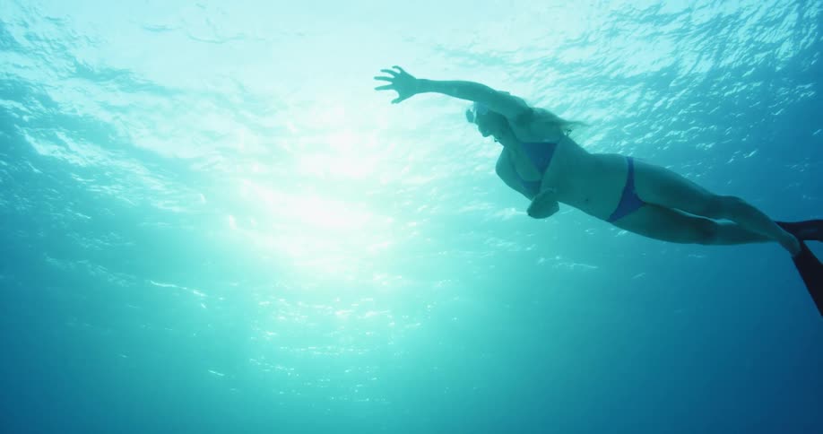 Shark swimming low to the ocean floor with swimmer above it