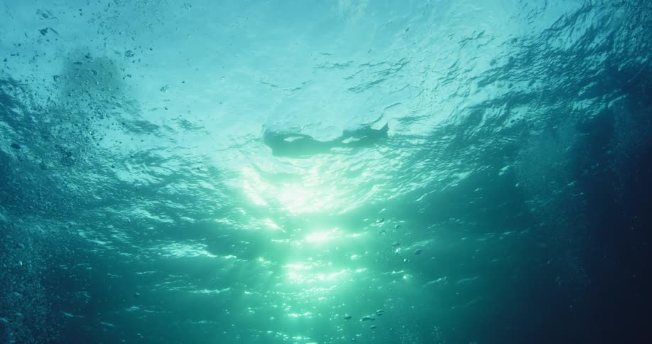 A large amount of air bubbles rise towards the surface with a person swimming above