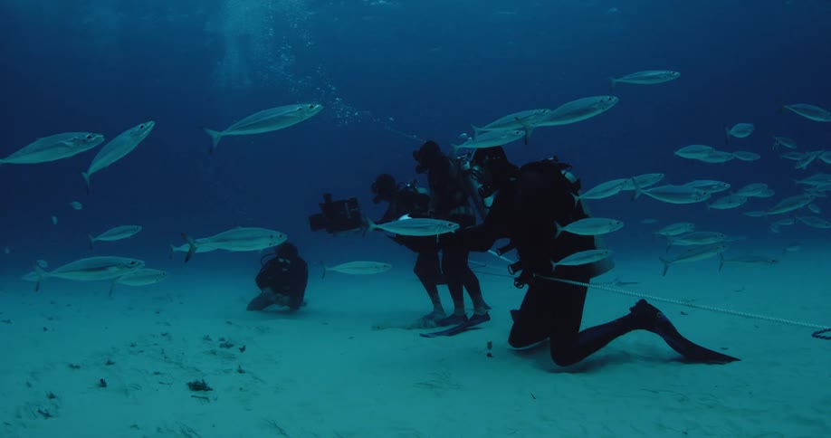 A group of divers sit on the sand under filming fish passing by