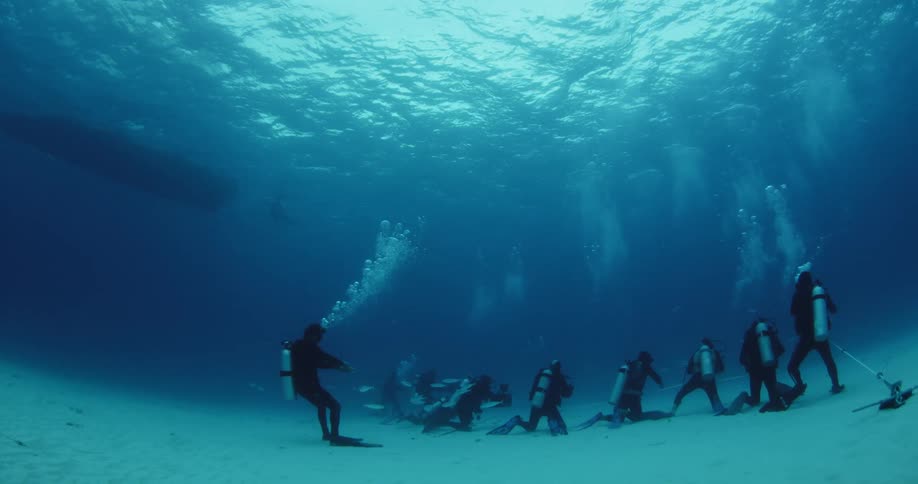 A group of 9 divers with camera are filming a school of fish