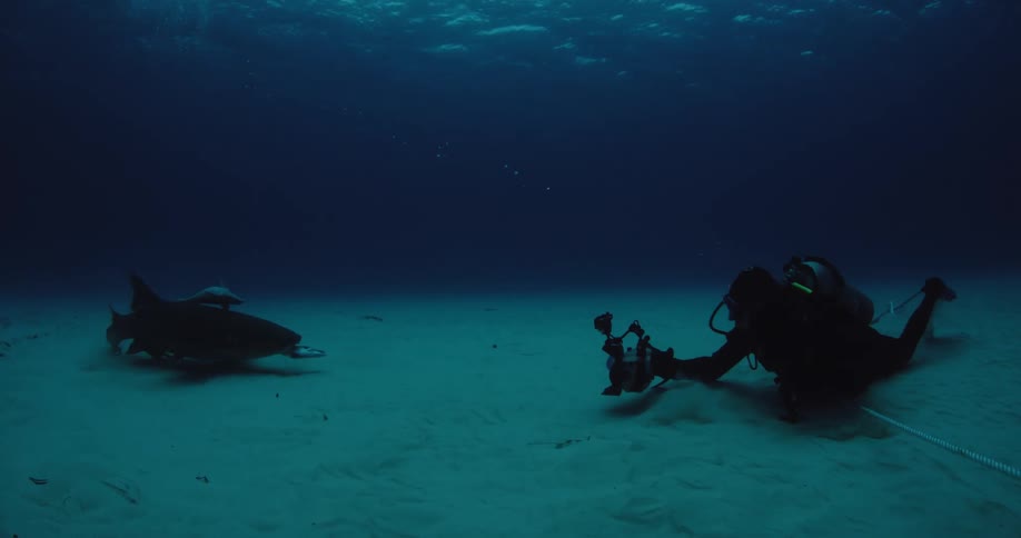 A scuba diver photographs a shark eating