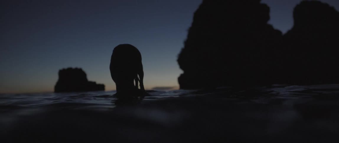 A woman's head bobs above the water as she swims in the ocean at dusk