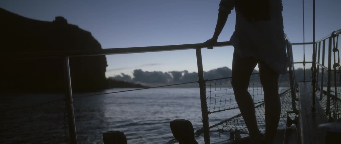 Person standing at a boats railing while the wind blows